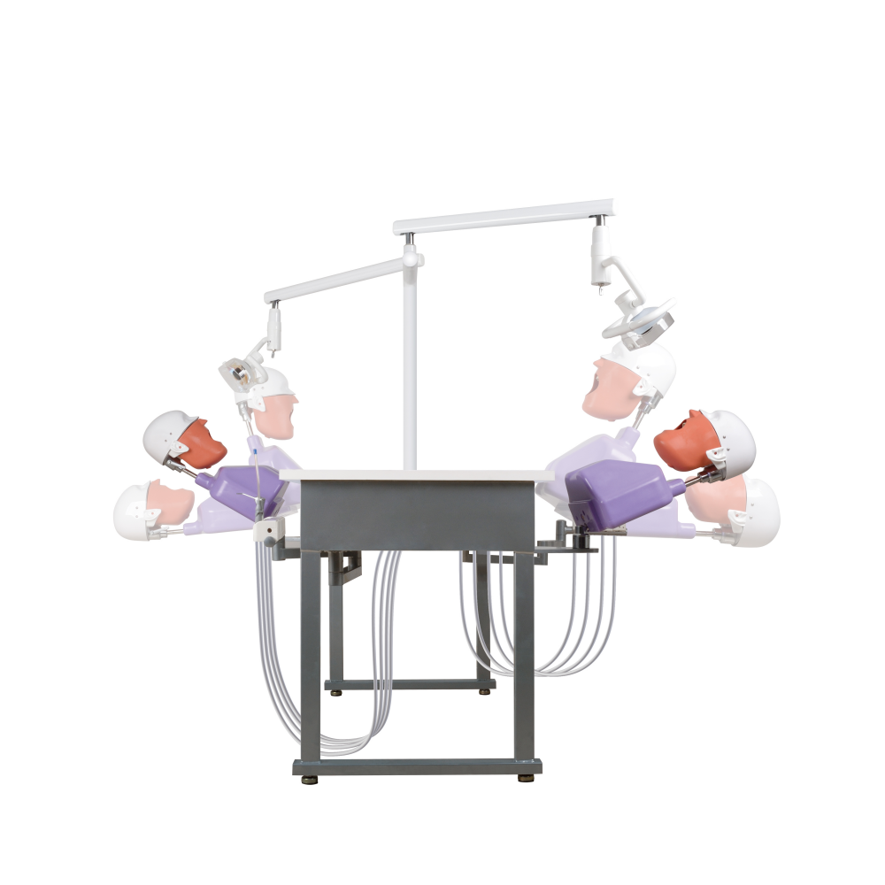 trainning model mounted on simulation phantom head